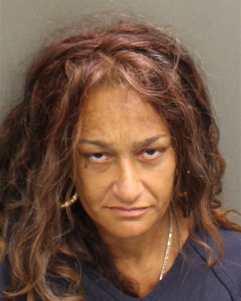  DESIREE ALICEA Mugshot / County Arrests / Orange County Arrests