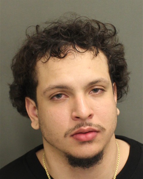  SEBASTIAN FABIAN Mugshot / County Arrests / Orange County Arrests