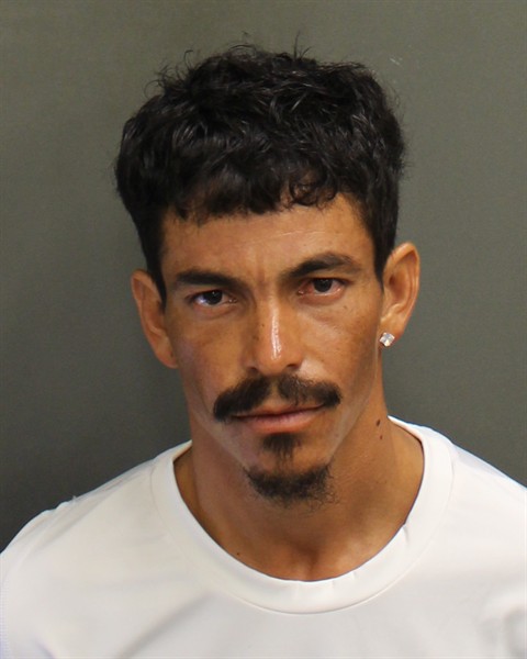  DIEGO GEOVANNY RAMOSROMERO Mugshot / County Arrests / Orange County Arrests