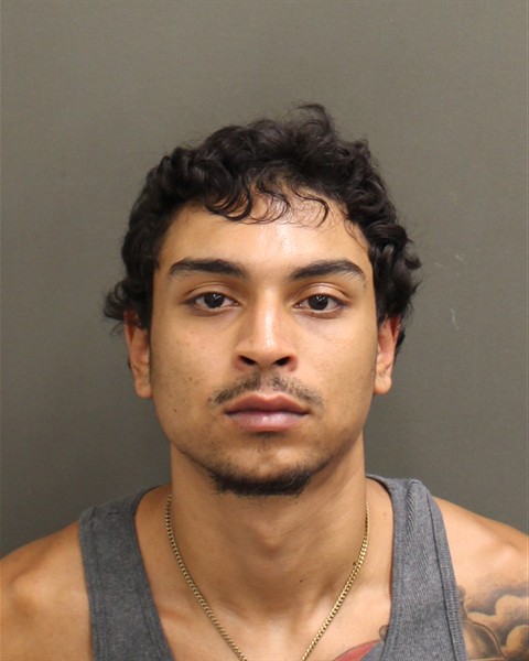  SAM XAVIER PENA Mugshot / County Arrests / Orange County Arrests