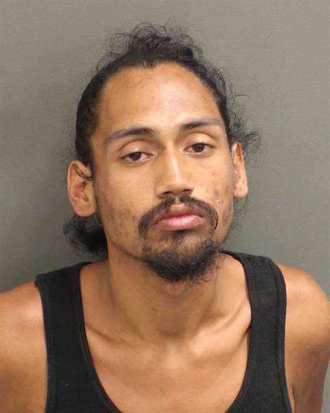  PEDRO PABLO III RODRIGUEZ Mugshot / County Arrests / Orange County Arrests