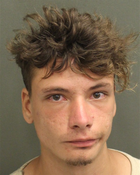  GANNON MITCHELL HILLESHEIM Mugshot / County Arrests / Orange County Arrests