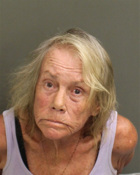  LESLIE ANN DOBBIN Mugshot / County Arrests / Orange County Arrests