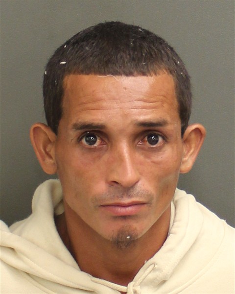  DANYS NOE PEREIRAMEJIA Mugshot / County Arrests / Orange County Arrests
