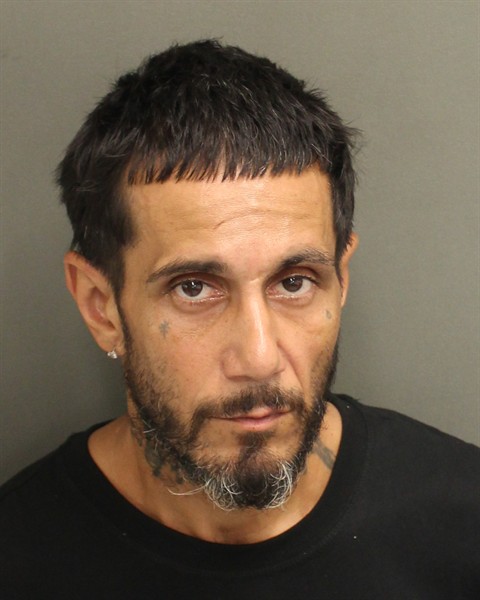  DYLAN DONALD RICCI Mugshot / County Arrests / Orange County Arrests