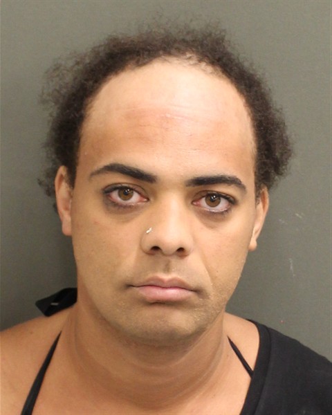  ETHAN CASE HASS Mugshot / County Arrests / Orange County Arrests