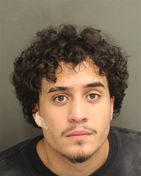  VINCENZO JOHNANTHONY GIRACE Mugshot / County Arrests / Orange County Arrests