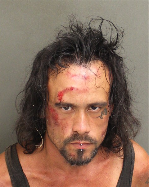  DUSTIN BERNNEL LEIJA Mugshot / County Arrests / Orange County Arrests