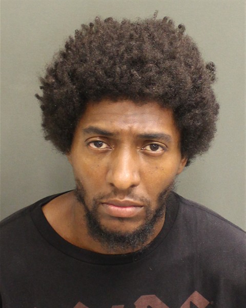  MADISON NYLES MUNAJJ Mugshot / County Arrests / Orange County Arrests