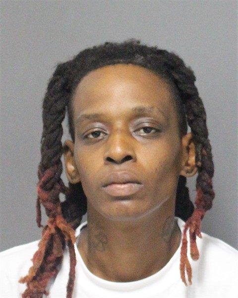  ROSECLEER LATOYA BROOKS Photo Image