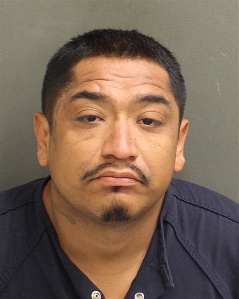  RAMIRO  JR PINEDAALONSO Mugshot / County Arrests / Orange County Arrests