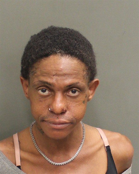  VALENTINE DANTE CARR Mugshot / County Arrests / Orange County Arrests