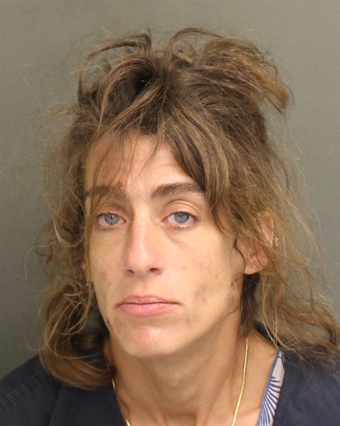  KARINA LYNCH Mugshot / County Arrests / Orange County Arrests