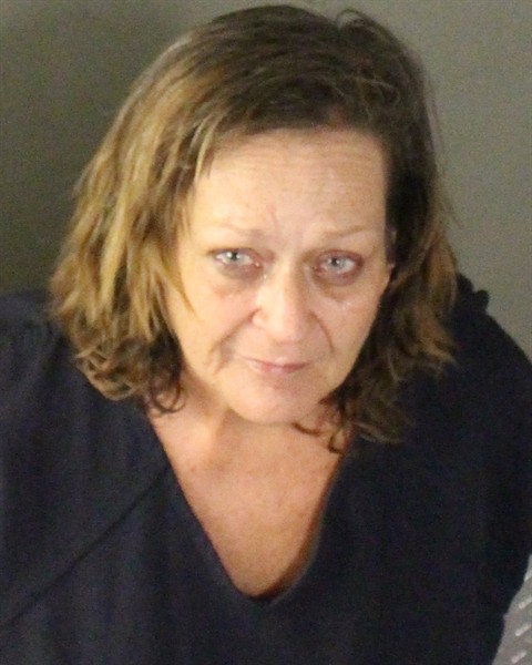  TRACEY MARY STEFFEN Mugshot / County Arrests / Orange County Arrests