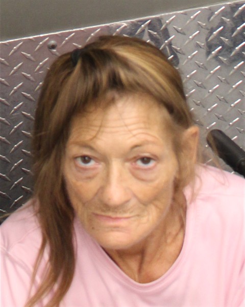  SHELBY CHARLENE JONES Mugshot / County Arrests / Orange County Arrests