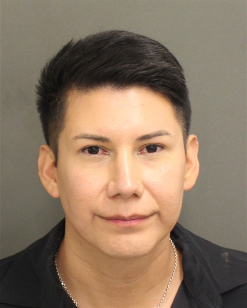  YONIC DELASANCHA Mugshot / County Arrests / Orange County Arrests