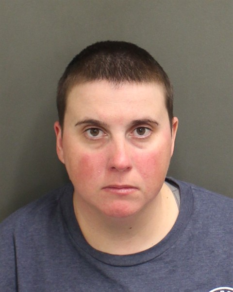  SUSAN HOLLOWAY Mugshot / County Arrests / Orange County Arrests