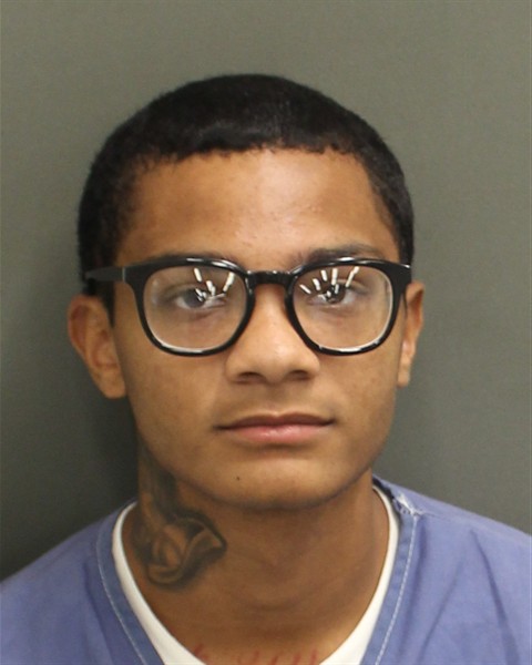  SAVION ARMONI SAVAGE Photo Image