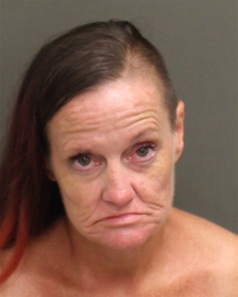  DANA MCDANIEL Mugshot / County Arrests / Orange County Arrests