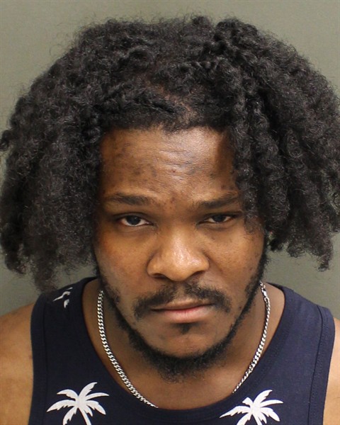  ROODY ROBERGEAU Mugshot / County Arrests / Orange County Arrests