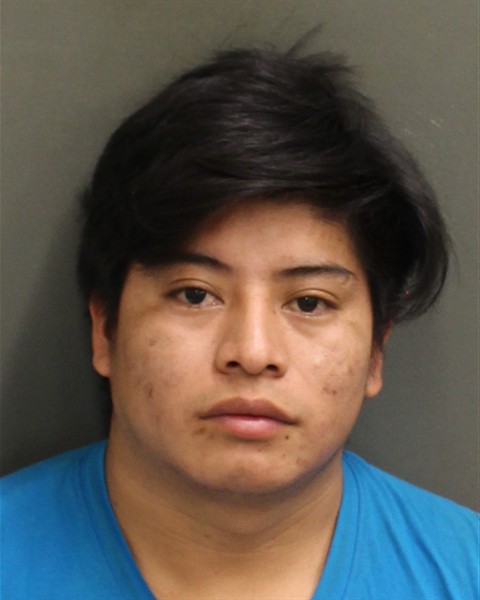  CARLOS ALBERTO GARCIAMEZA Mugshot / County Arrests / Orange County Arrests