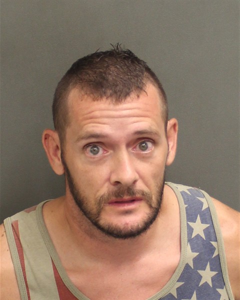  HAROLD FRANCES TIGHE Mugshot / County Arrests / Orange County Arrests
