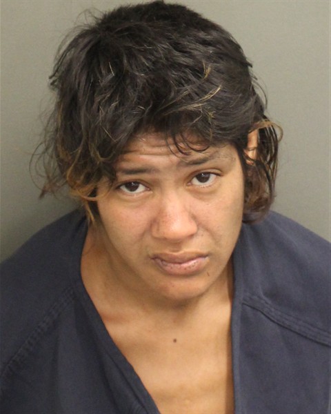  RITA LUPE MARTINEZ Mugshot / County Arrests / Orange County Arrests