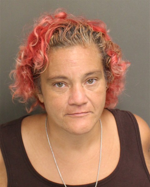  MARIA ALICIA CARR Mugshot / County Arrests / Orange County Arrests