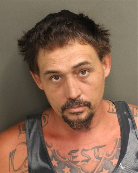  SHAWN ALAN JR DAVIS Mugshot / County Arrests / Orange County Arrests
