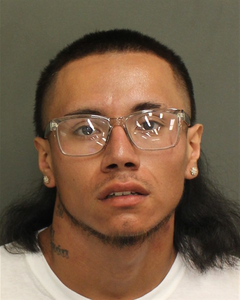  RYAN ULICES MARTINEZVILLEDA Mugshot / County Arrests / Orange County Arrests