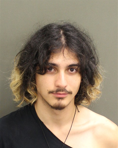  CRUZPENA DANIEL JUAN Mugshot / County Arrests / Orange County Arrests