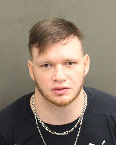  SANTIAGO ANDRES RAMIREZ Mugshot / County Arrests / Orange County Arrests