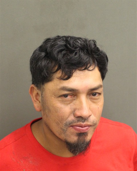  RAMON EVELIO RAMOS Mugshot / County Arrests / Orange County Arrests