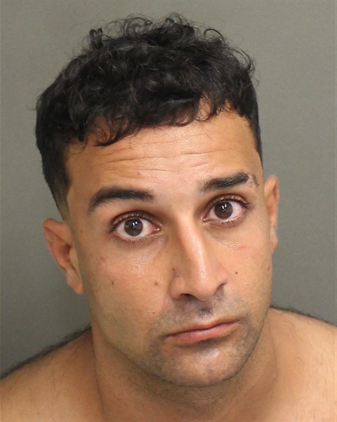  YOUSEF ZED YOUSEF Mugshot / County Arrests / Orange County Arrests
