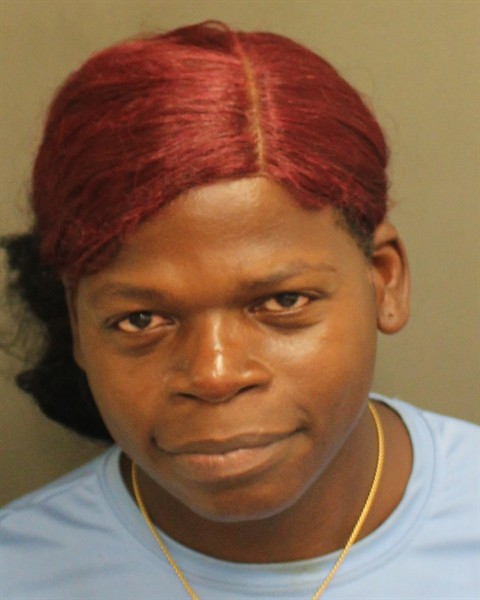  ALONZO LOVELL JOHNSON Mugshot / County Arrests / Orange County Arrests