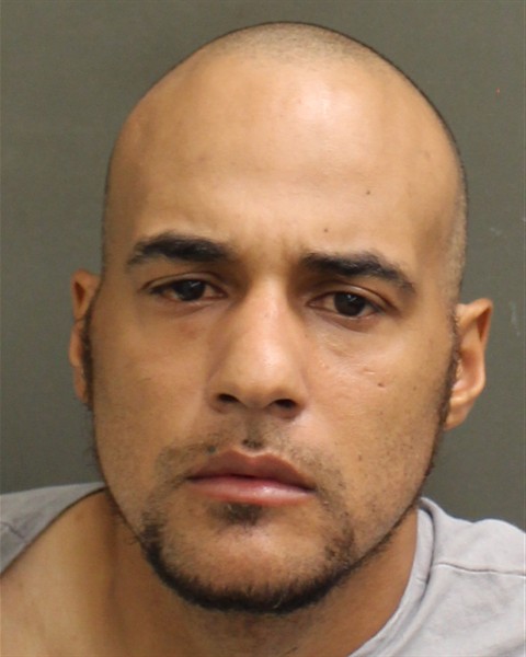  EDWIN MARTIN DELAROSAPOLANCO Mugshot / County Arrests / Orange County Arrests
