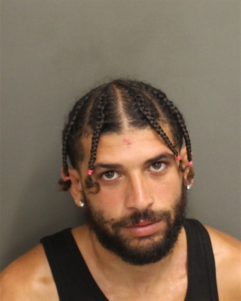  BRANDON LEE CABRERAARROYO Photo Image