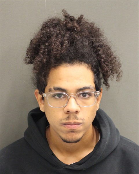  ALAN GABRIEL MEJIA Mugshot / County Arrests / Orange County Arrests