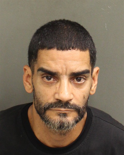  NELSON  JR NIEVES Mugshot / County Arrests / Orange County Arrests