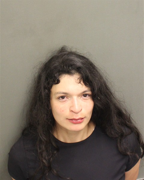  VICKY REBECCA VAZQUEZBARRIOS Mugshot / County Arrests / Orange County Arrests