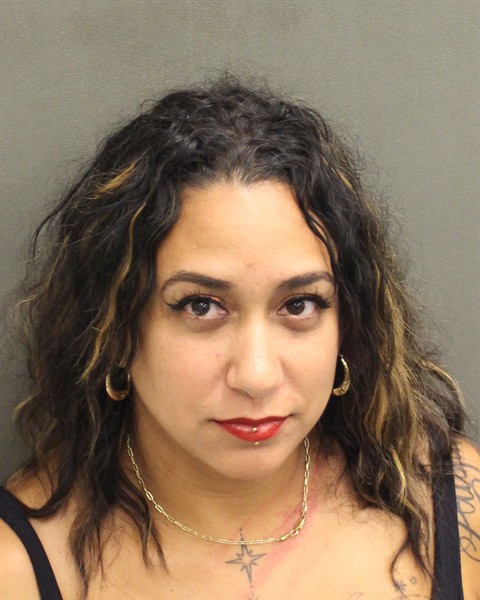  BRUNILDA IRIZARRYTORRES Mugshot / County Arrests / Orange County Arrests