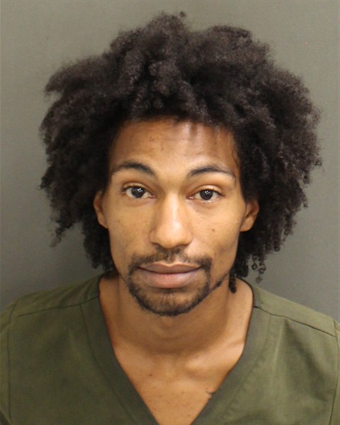  DOMENICO SOVOIAEVANS BAGLEY Mugshot / County Arrests / Orange County Arrests