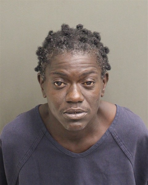  APRIL JOHNSON Mugshot / County Arrests / Orange County Arrests
