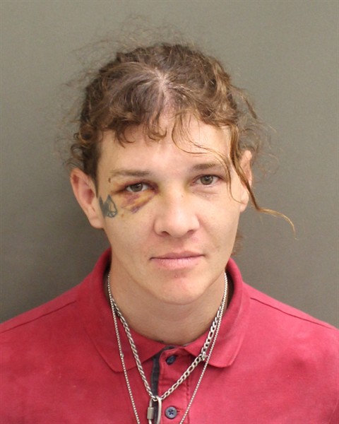 DUSTIN LEE HARRIS Mugshot / County Arrests / Orange County Arrests