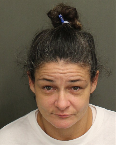  DEBORAH LYNN APPLEGATE Mugshot / County Arrests / Orange County Arrests