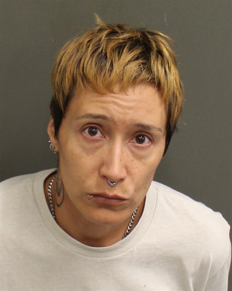  ALINA MARIE ARIAS Mugshot / County Arrests / Orange County Arrests