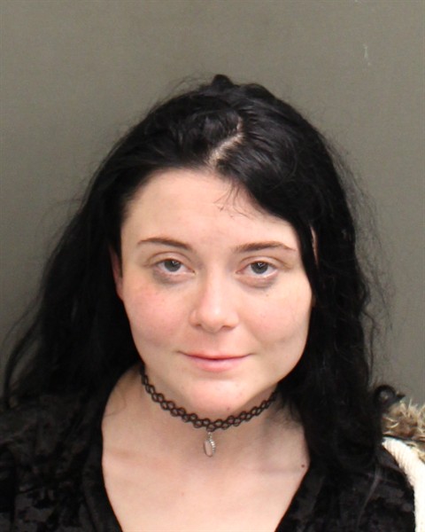 MEGAN STORM MILLETT Mugshot / County Arrests / Orange County Arrests