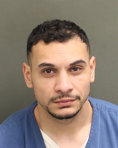  VASILE LACATUS Mugshot / County Arrests / Orange County Arrests