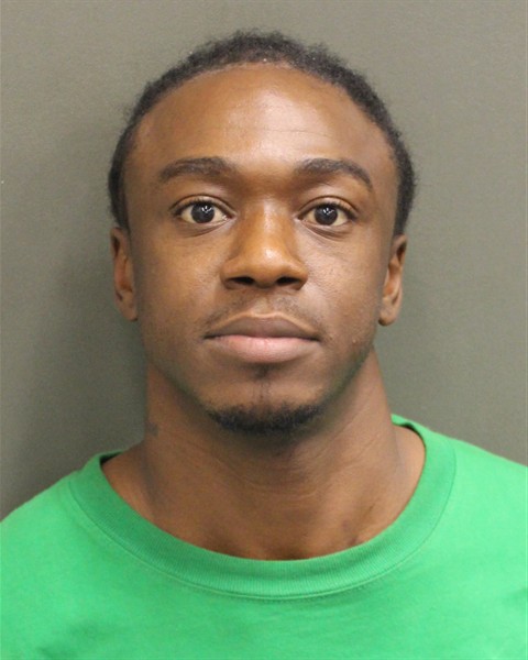  BRITHEL VANNESS BRIDGES Mugshot / County Arrests / Orange County Arrests