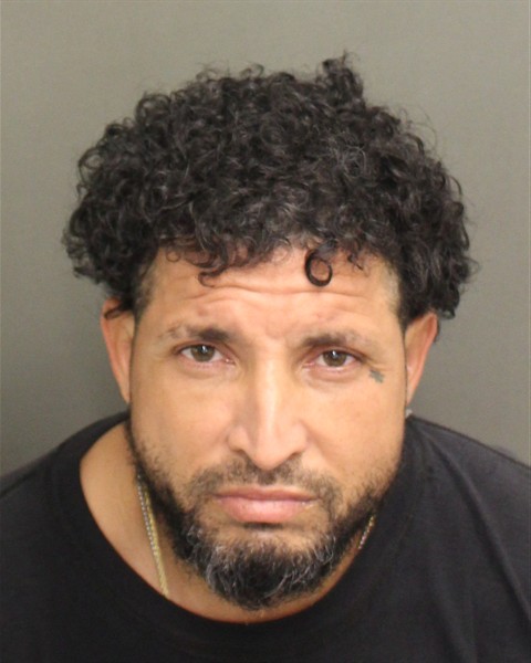  LUIS ANTONIO PAGAN Mugshot / County Arrests / Orange County Arrests